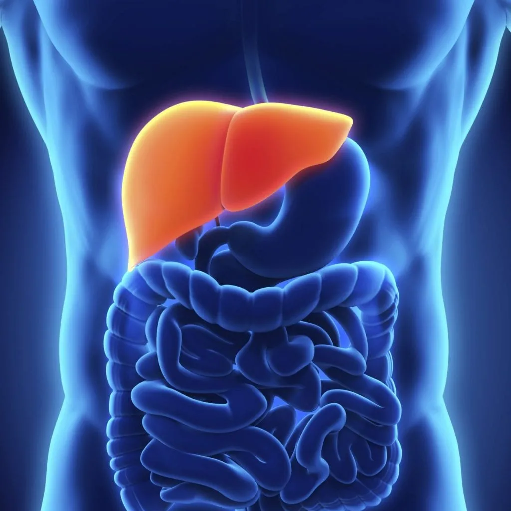 Glutathione