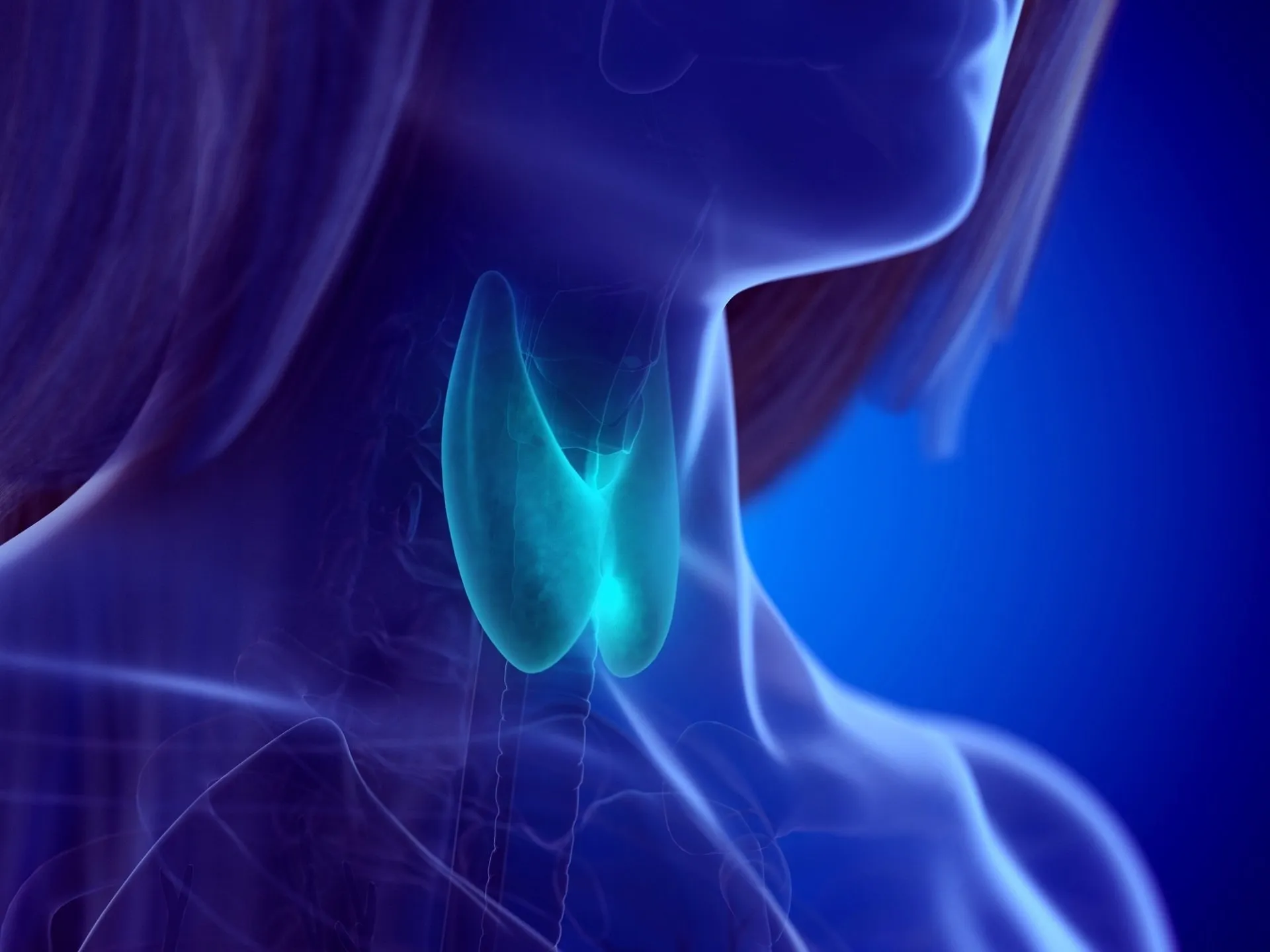 Thyroid Hormone Therap