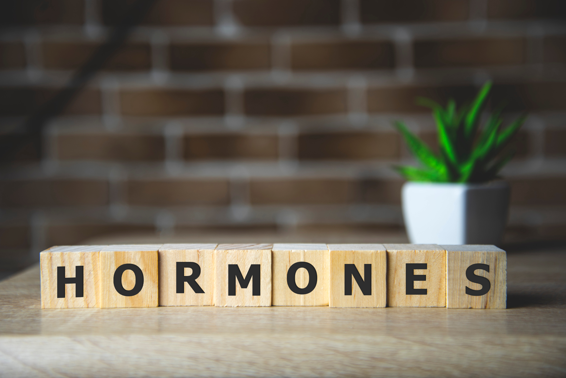 Hormone Balance and Its Impact on Joint Health