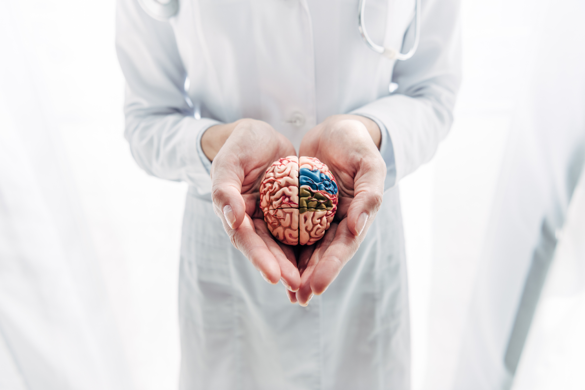 Hormones and Brain Health: How Estrogen, Testosterone, and Cortisol Shape Cognitive Aging