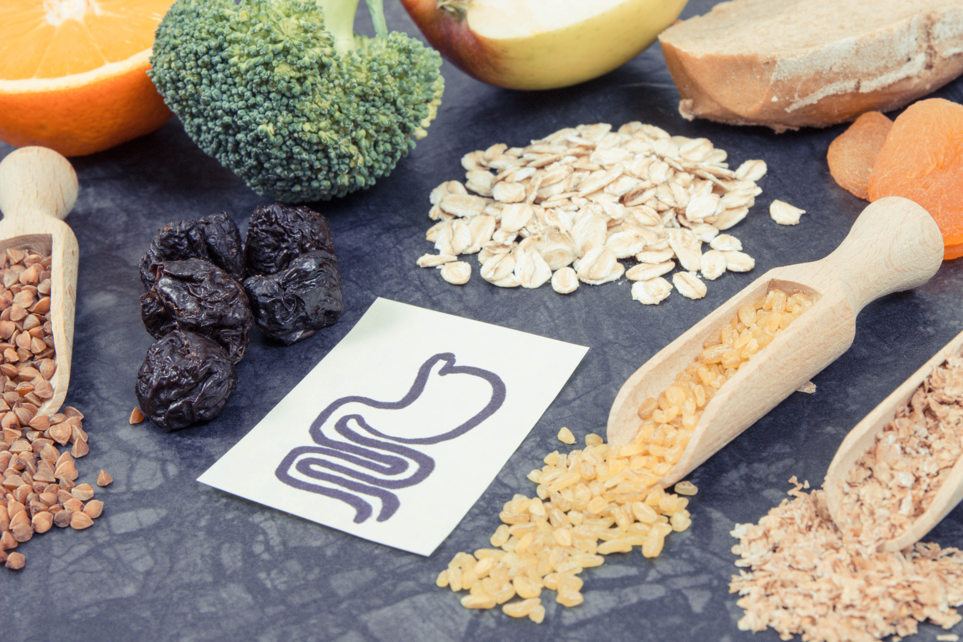 Longevity Starts in the Gut: Functional Medicine Strategies for a Sharper Mind