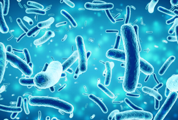 How Gut Bacteria Metabolites Influence Memory, Focus, and Brain Longevity