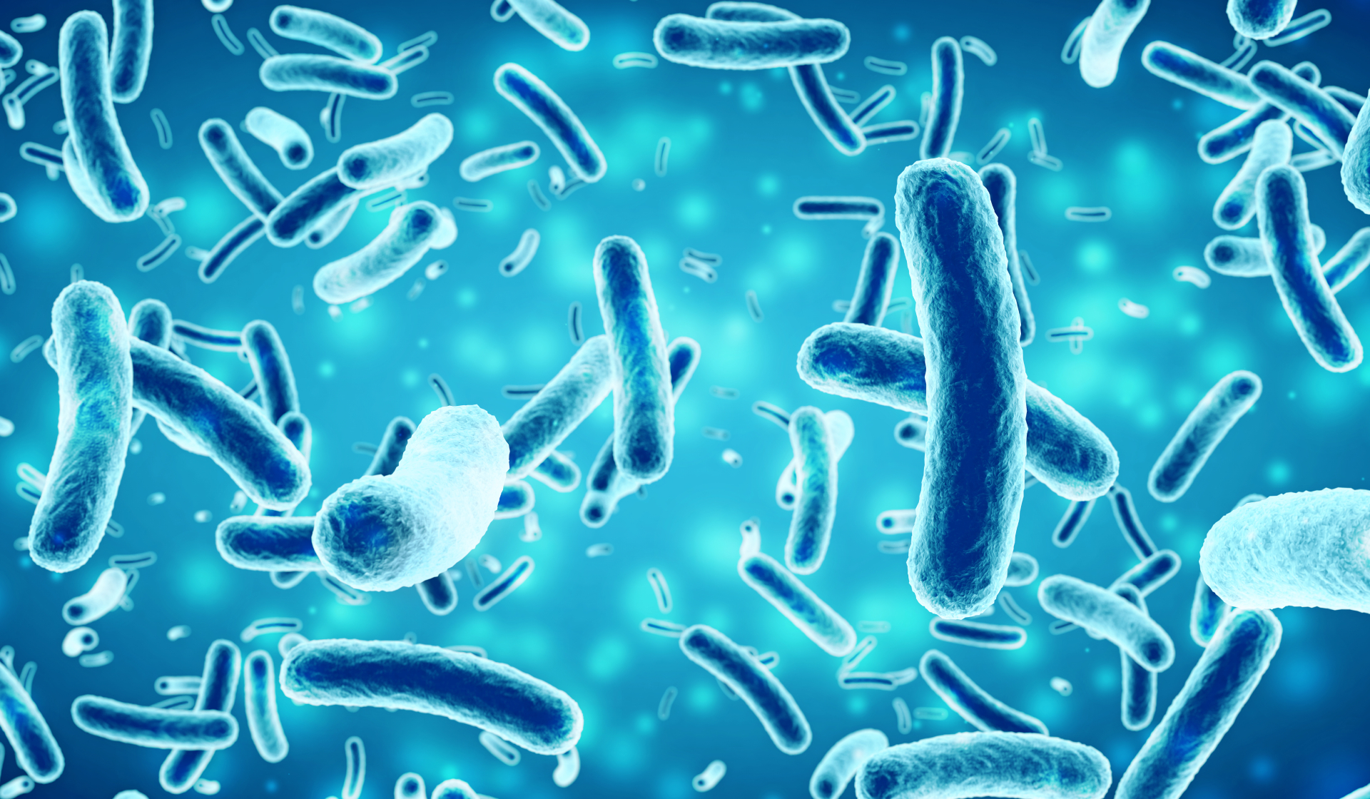 How Gut Bacteria Metabolites Influence Memory, Focus, and Brain Longevity