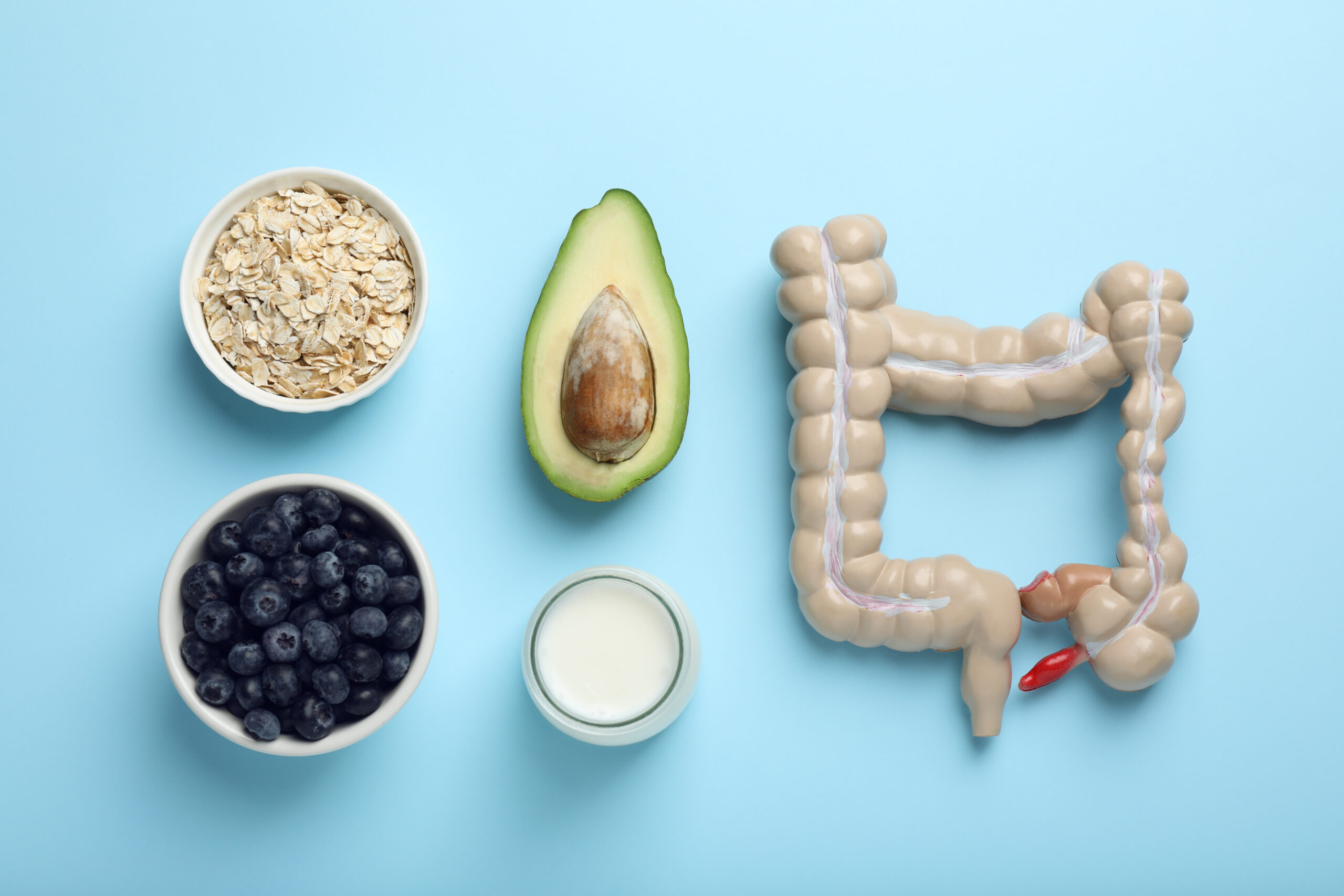 The Gut Microbiome’s Role in Aging and Immune Health
