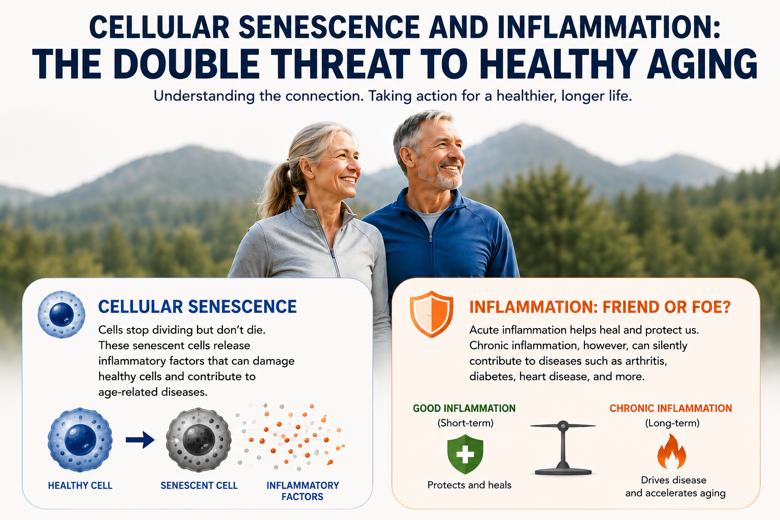 Cellular Senescence and Inflammation: The Double Threat to Healthy Aging